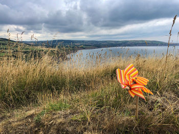 Scenic view of water on land against sky