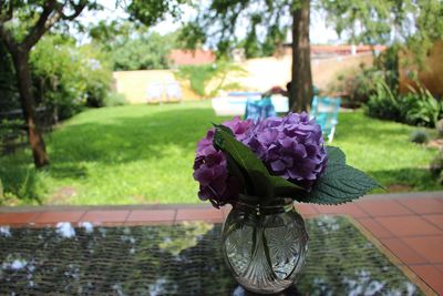 Close-up of purple flowers blooming outdoors