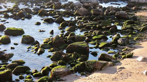 High angle view of pebbles on rocks in water