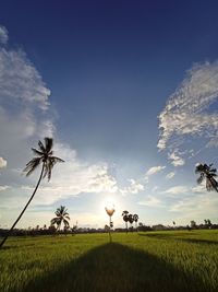 sky