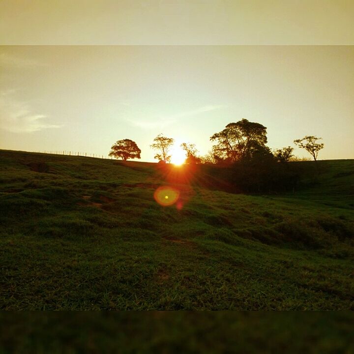 SCENIC VIEW OF GRASSY FIELD AGAINST SKY DURING SUNSET