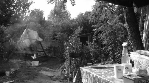 Chairs and table against trees