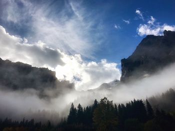 Low angle view of trees and mountains against sky