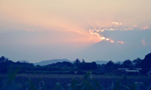 Scenic view of field against sky at sunset