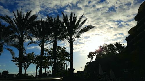 Silhouette trees against sky during sunset