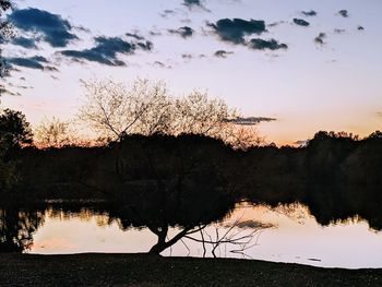 Silhouette trees by lake against sky during sunset
