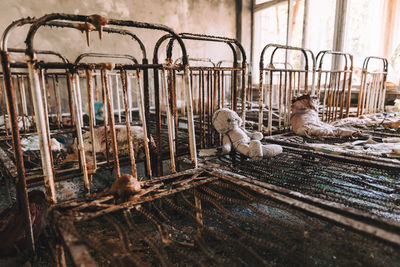 Pigeons in a cage