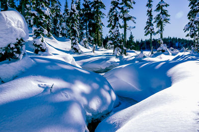 Scenic view of snow covered landscape