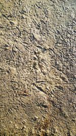 Full frame shot of sand