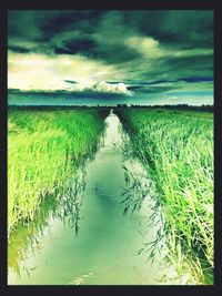Scenic view of landscape against cloudy sky