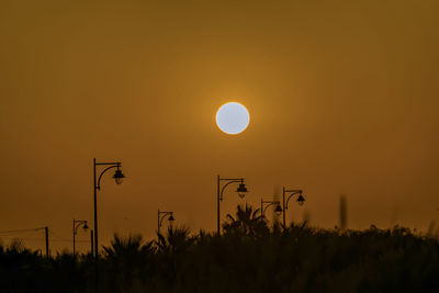 Silhouette plants against sky during sunset