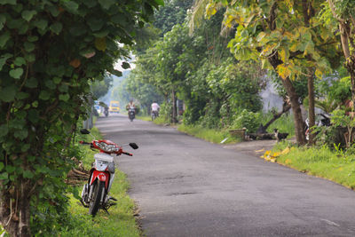 Bicycle parked on road amidst trees in city