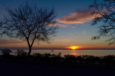 Silhouette bare tree by sea against romantic sky at sunset