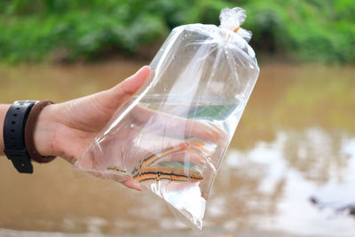 Close-up of hand holding glass of water