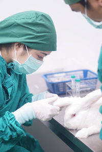Doctors examining rabbit in hospital