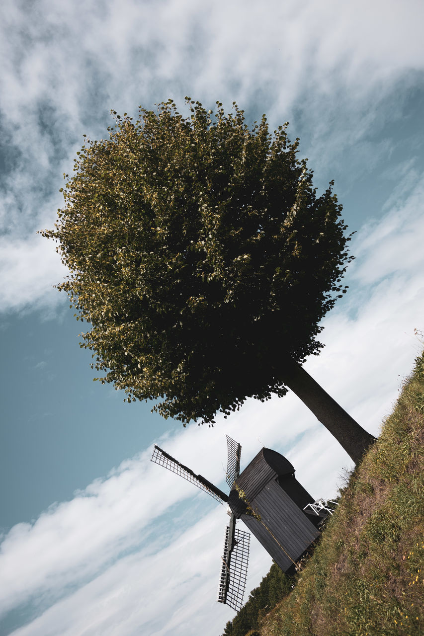 LOW ANGLE VIEW OF WINDMILL ON TREE AGAINST SKY