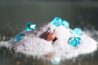 High angle view of ice cream on table