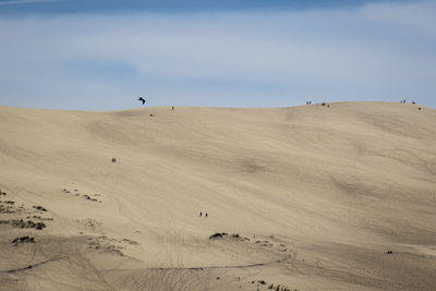 Scenic view of desert against sky