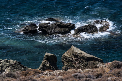 Scenic view of sea shore