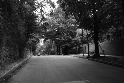 Empty road amidst trees in park