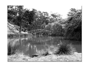 Scenic view of lake by trees