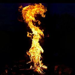 Close-up of bonfire at night