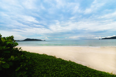 Beautyfull white sandy beach emerald sea water and blue sky at patong beach .