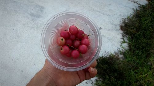 Low section of woman holding fruits