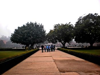 People walking on footpath in park