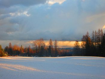 Scenic view of snow covered landscape