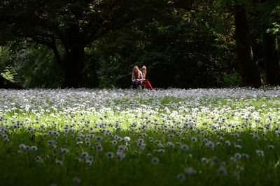 Distant view of teenage girls using phones while sitting in front of flowering plants