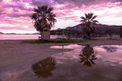 Scenic view of palm trees on landscape against sunset sky