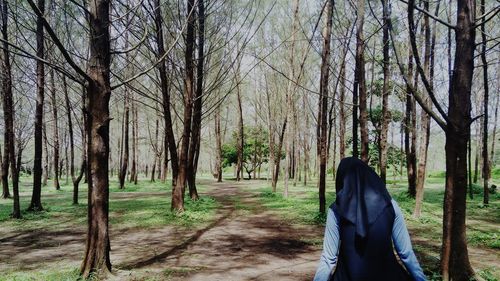 Rear view of woman walking amidst trees in forest