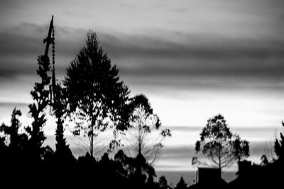 Close-up of plants against sky