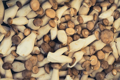 Full frame shot of edible mushrooms for sale at market