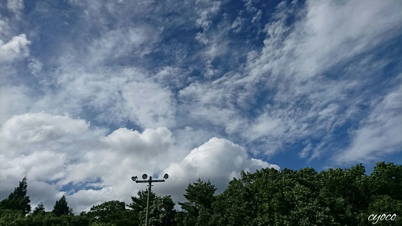 tree, sky, tranquility, beauty in nature, scenics, tranquil scene, cloud - sky, mountain, low angle view, nature, cloudy, cloud, growth, idyllic, weather, non-urban scene, landscape, day, blue, mountain range