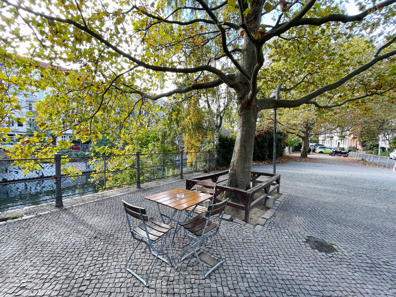 EMPTY BENCH ON TABLE IN PARK DURING AUTUMN