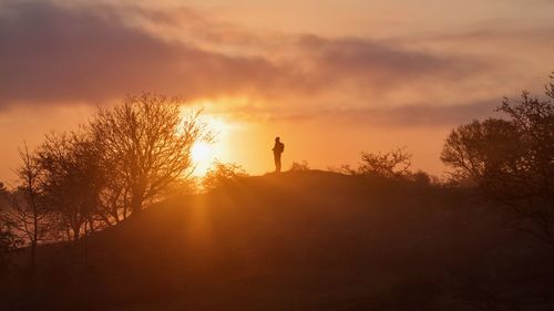 Silhouette man standing by trees against sky during sunset