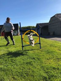 Full length of a dog on field jumping