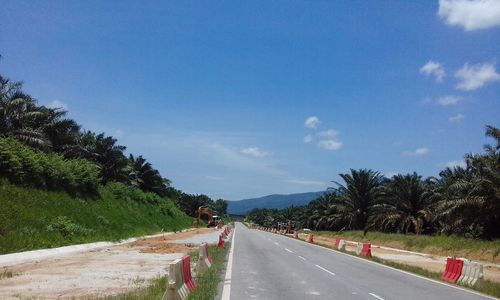 Road by trees against sky