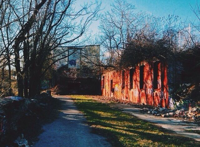 architecture, built structure, building exterior, tree, the way forward, bare tree, house, old, abandoned, sky, dirt road, outdoors, no people, day, obsolete, damaged, diminishing perspective, nature, tranquility, run-down