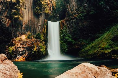 Scenic view of waterfall in forest