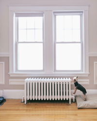 Dog on hardwood floor at home