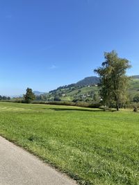 Scenic view of field against clear blue sky