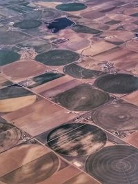 Aerial view of agricultural field