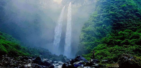 Scenic view of waterfall in forest