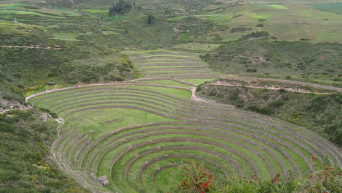 High angle view of agricultural field