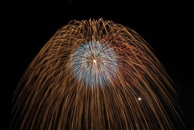 Low angle view of firework display against sky at night