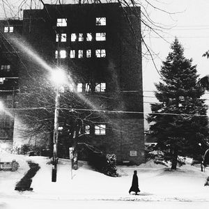 Snow covered trees in city