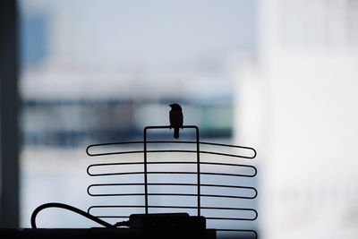 Silhouette bird perching on water against sky